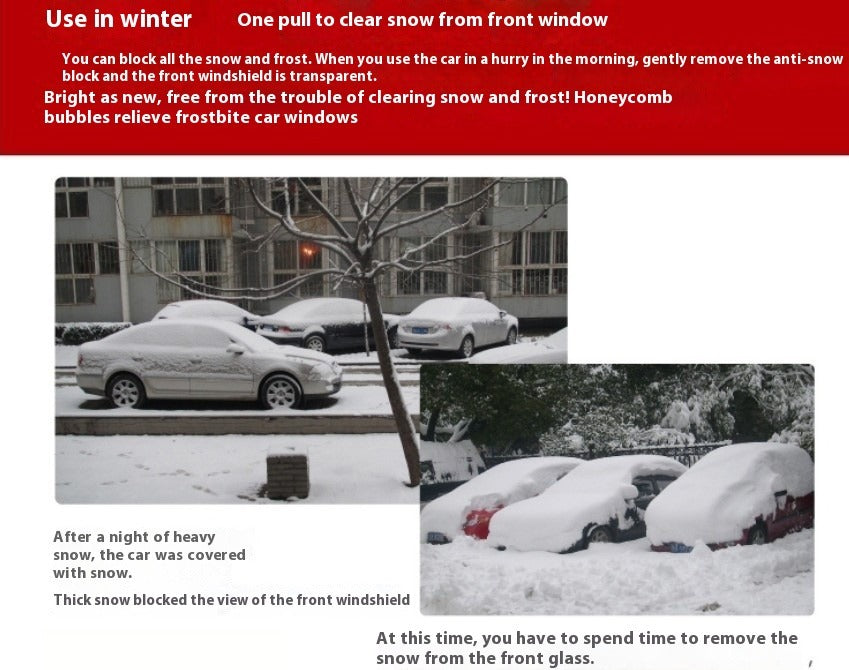 Winter Windshield Snow & Frost Protector